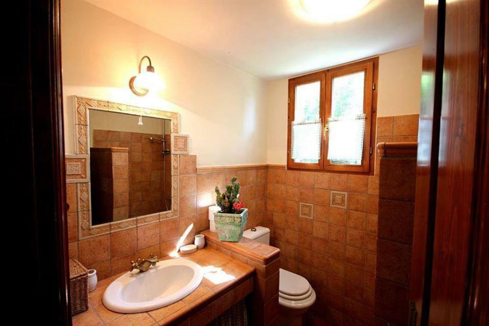 Villa Violica, Karnevali Žminj Eksteriør bilde